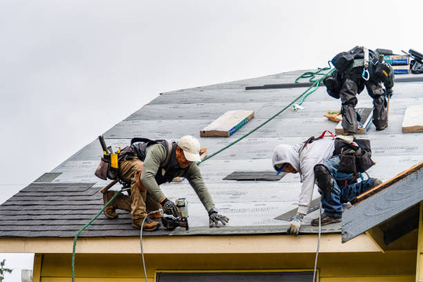 Professional Gutter Installation technician working in Hugo, MN